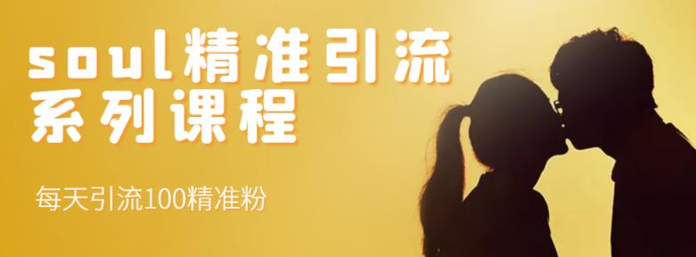 soul精准引流系列课程，每天引流100精准粉创富副业网-网创项目资源站-副业项目-创业项目-搞钱项目创富副业网