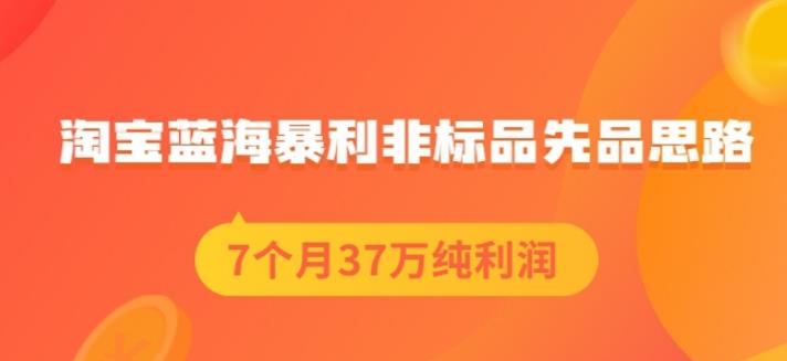 盗坤淘宝蓝海暴利非标品先品思路，7个月37万纯利润，压箱干货分享！【付费文章】创富副业网-网创项目资源站-副业项目-创业项目-搞钱项目创富副业网