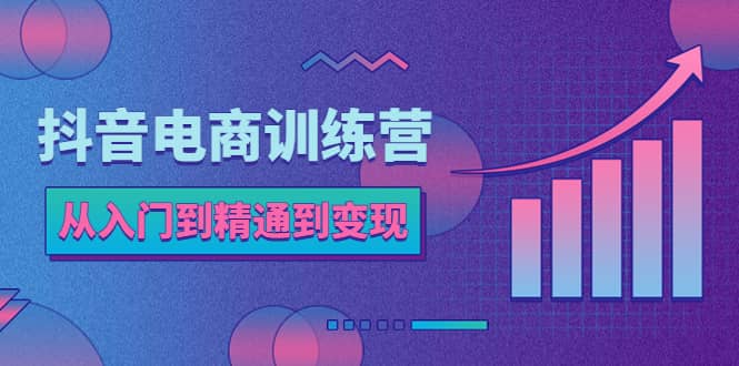 抖音电商训练营：从入门到精通，从账号定位到流量变现，抖店运营实操创富副业网-网创项目资源站-副业项目-创业项目-搞钱项目创富副业网