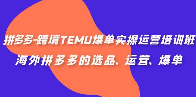 拼多多-跨境TEMU爆单实操运营培训班，海外拼多多的选品、运营、爆单创富副业网-网创项目资源站-副业项目-创业项目-搞钱项目创富副业网