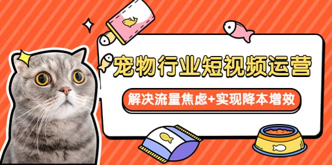 宠物/行业短视频运营 流量增长的一层窗户纸 解决流量焦虑+实现降本增效创富副业网-网创项目资源站-副业项目-创业项目-搞钱项目创富副业网