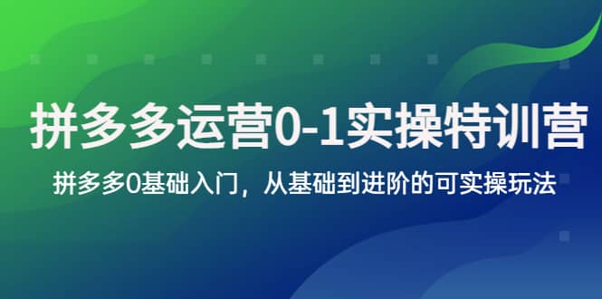 拼多多-运营0-1实操训练营，拼多多0基础入门，从基础到进阶的可实操玩法创富副业网-网创项目资源站-副业项目-创业项目-搞钱项目创富副业网