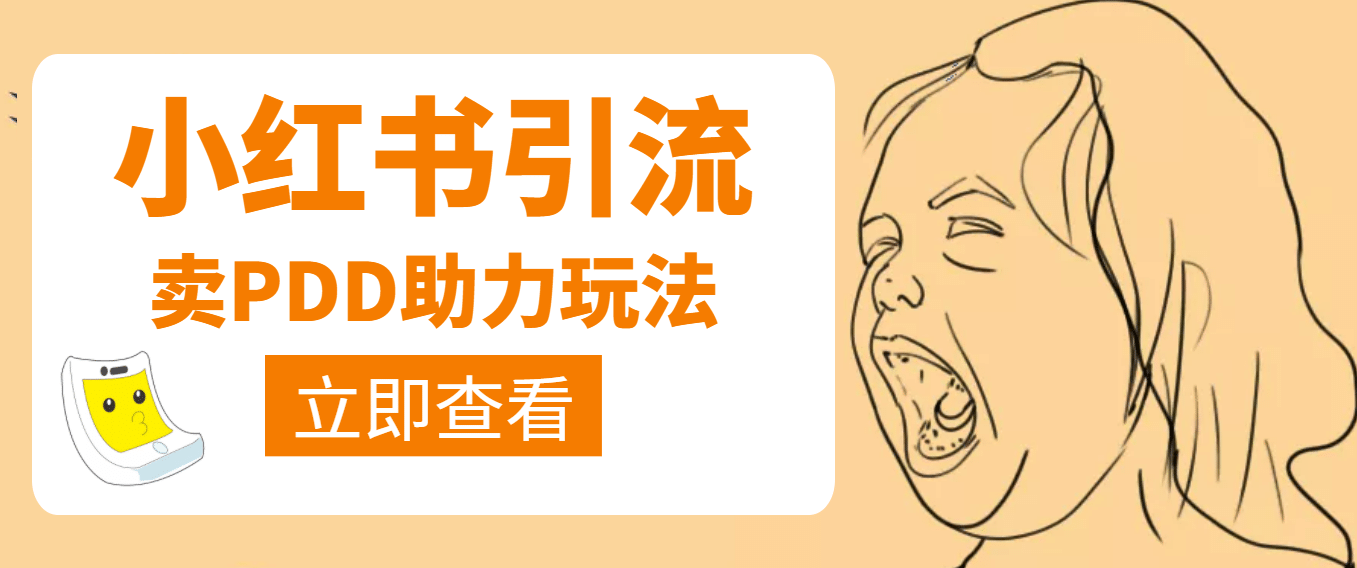 利用小红书卖拼多多助力创富副业网-网创项目资源站-副业项目-创业项目-搞钱项目创富副业网