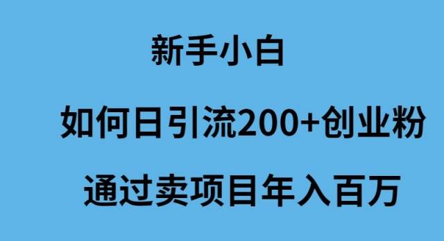 新手小白如何日引流200+创业粉通过卖项目年入百万创富副业网-网创项目资源站-副业项目-创业项目-搞钱项目创富副业网