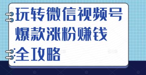 玩转微信视频号爆款涨粉赚钱全攻略，让你快速抓住流量风口，收获红利财富创富副业网-网创项目资源站-副业项目-创业项目-搞钱项目创富副业网