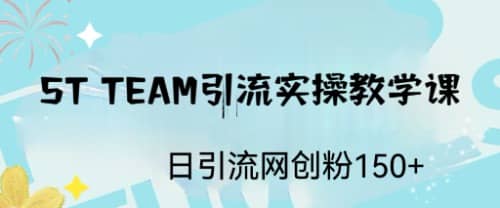ST TEAM引流实操课，日引流网创粉100+创富副业网-网创项目资源站-副业项目-创业项目-搞钱项目创富副业网