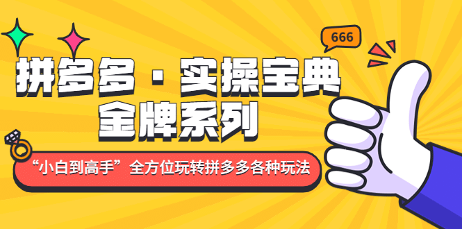 拼多多·实操宝典：金牌系列“小白到高手”带你全方位玩转拼多多各种玩法创富副业网-网创项目资源站-副业项目-创业项目-搞钱项目创富副业网