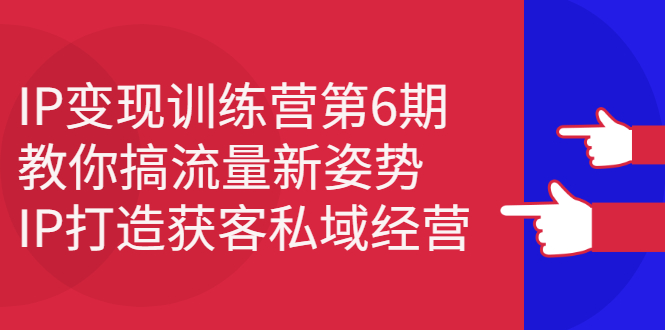 IP变现训练营第6期：教你搞流量新姿势，IP打造获客私域经营创富副业网-网创项目资源站-副业项目-创业项目-搞钱项目创富副业网