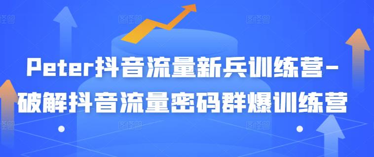 Peter抖音流量新兵训练营-破解抖音流量密码群爆训练营（新兵）创富副业网-网创项目资源站-副业项目-创业项目-搞钱项目创富副业网