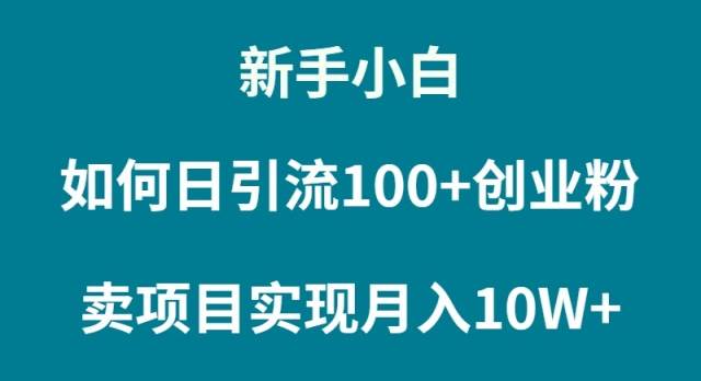 新手小白如何通过卖项目实现月入10W+创富副业网-网创项目资源站-副业项目-创业项目-搞钱项目创富副业网