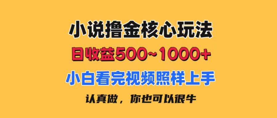小说撸金核心玩法，日收益500-1000+，小白看完照样上手，0成本有手就行创富副业网-网创项目资源站-副业项目-创业项目-搞钱项目创富副业网