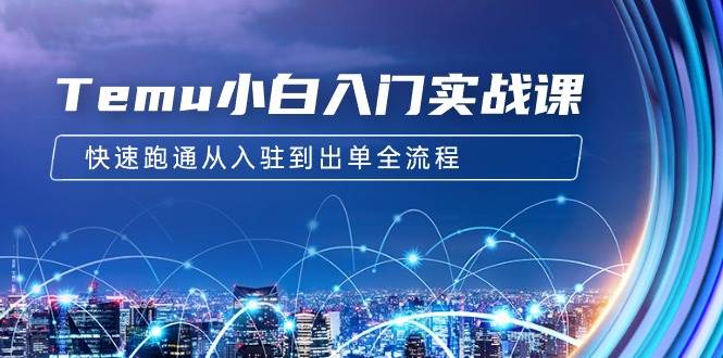 Temu小白入门实战课：跨境拼多多电商培训 快速跑通从入驻到出单全流程-12节创富副业网-网创项目资源站-副业项目-创业项目-搞钱项目创富副业网