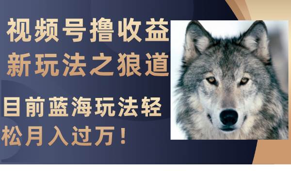 视频号撸收益新玩法之狼道，目前蓝海玩法轻松月入过万！创富副业网-网创项目资源站-副业项目-创业项目-搞钱项目创富副业网