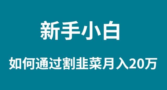 新手小白如何通过割韭菜月入 20W创富副业网-网创项目资源站-副业项目-创业项目-搞钱项目创富副业网