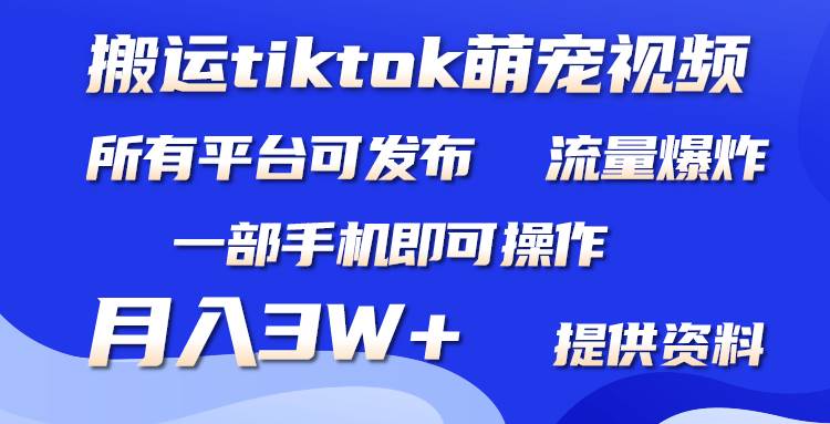 搬运Tiktok萌宠类视频，一部手机即可。所有短视频平台均可操作，月入3W+创富副业网-网创项目资源站-副业项目-创业项目-搞钱项目创富副业网