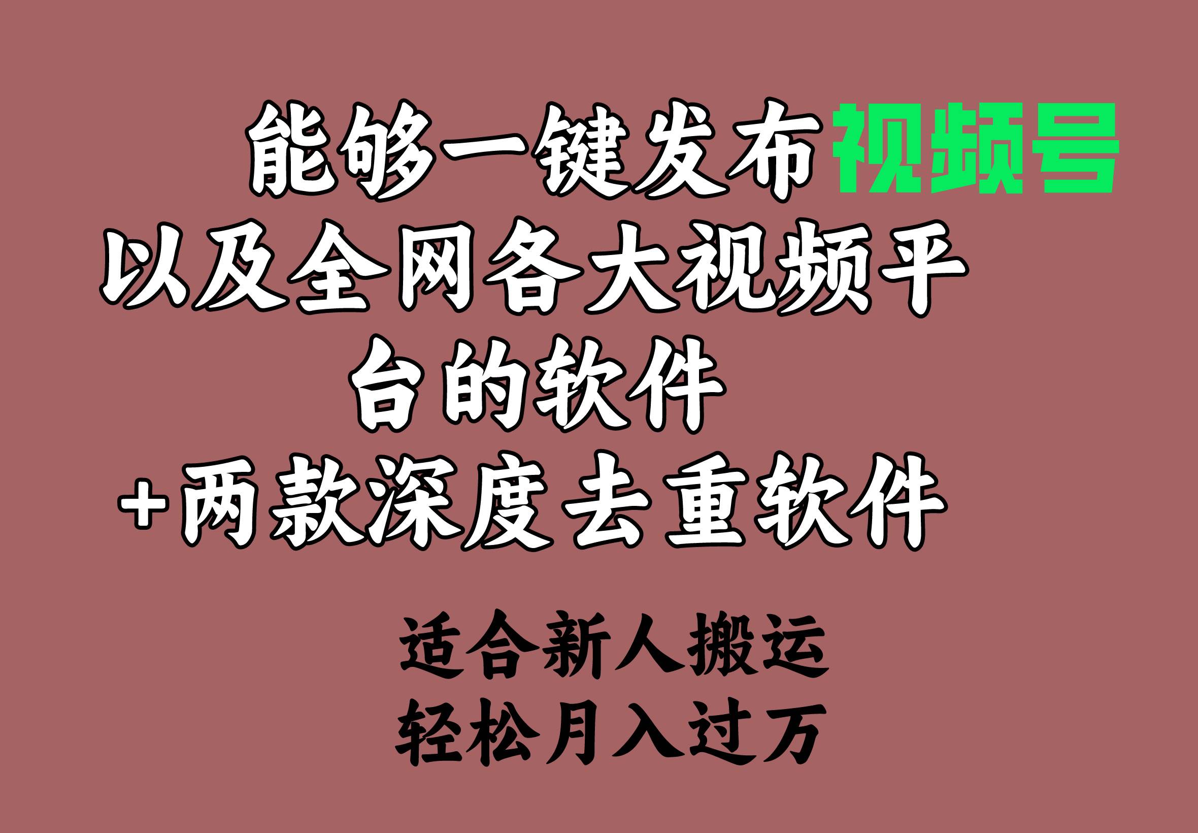 能够一键发布视频号以及全网各大视频平台的软件+两款深度去重软件 适合…创富副业网-网创项目资源站-副业项目-创业项目-搞钱项目创富副业网