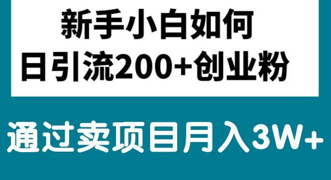 新手小白日引流200+创业粉,通过卖项目月入3W+创富副业网-网创项目资源站-副业项目-创业项目-搞钱项目创富副业网