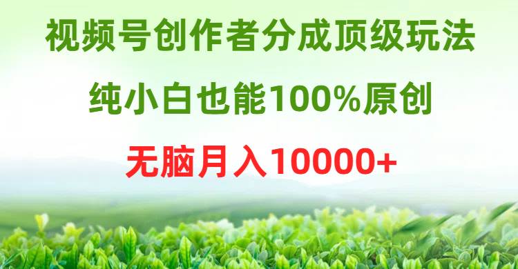 视频号创作者分成顶级玩法，纯小白也能100%原创，无脑月入10000+创富副业网-网创项目资源站-副业项目-创业项目-搞钱项目创富副业网