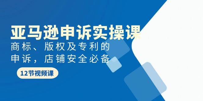 亚马逊-申诉实战课，商标、版权及专利的申诉，店铺安全必备创富副业网-网创项目资源站-副业项目-创业项目-搞钱项目创富副业网