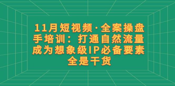 11月短视频·全案操盘手培训：打通自然流量 成为想象级IP必备要素 全是干货创富副业网-网创项目资源站-副业项目-创业项目-搞钱项目创富副业网