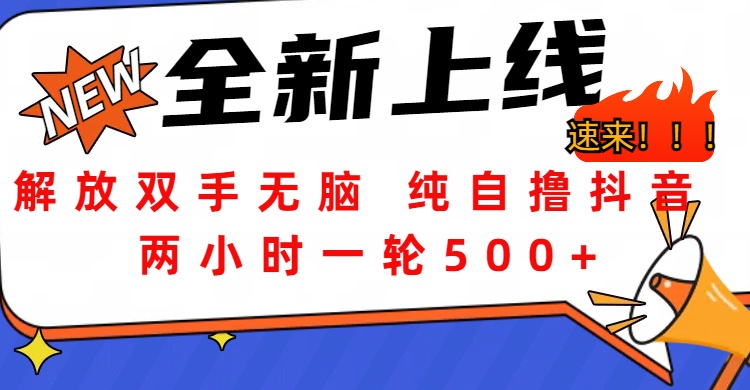 解放双手无脑 纯自撸抖音 两小时一轮500+创富副业网-网创项目资源站-副业项目-创业项目-搞钱项目创富副业网