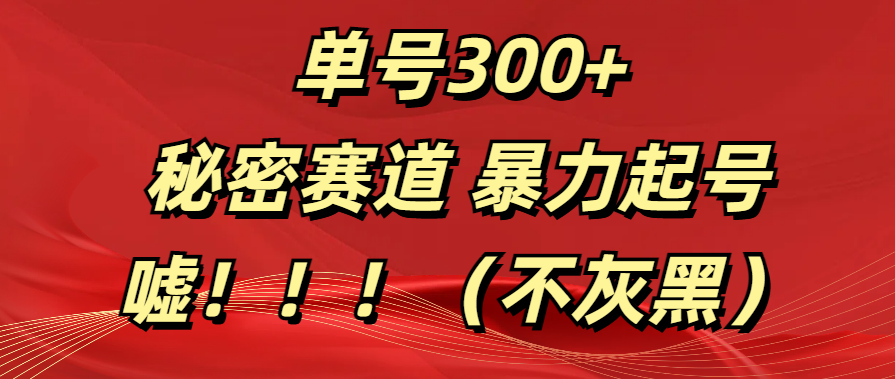 单号300+  秘密赛道 暴力起号  （不灰黑）创富副业网-网创项目资源站-副业项目-创业项目-搞钱项目创富副业网