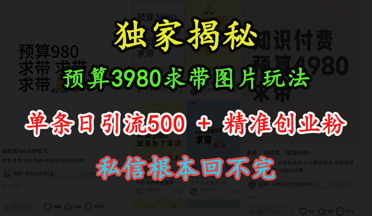 “小红书”预算3980求带 图片玩法，单条日引流500+精准创业粉，私信根本回不完创富副业网-网创项目资源站-副业项目-创业项目-搞钱项目创富副业网