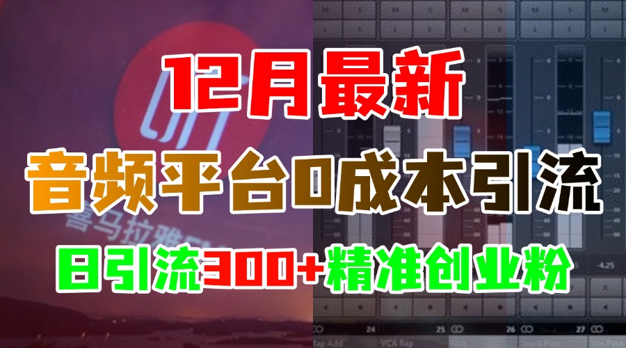 12月最新：音频平台0成本引流，日引300+精准创业粉创富副业网-网创项目资源站-副业项目-创业项目-搞钱项目创富副业网