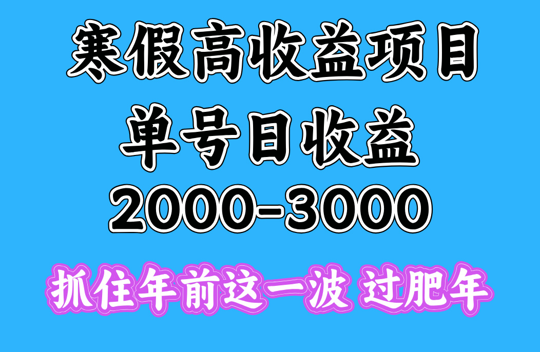寒假期间一天收益2000-3000+，抓住年前这一波创富副业网-网创项目资源站-副业项目-创业项目-搞钱项目创富副业网