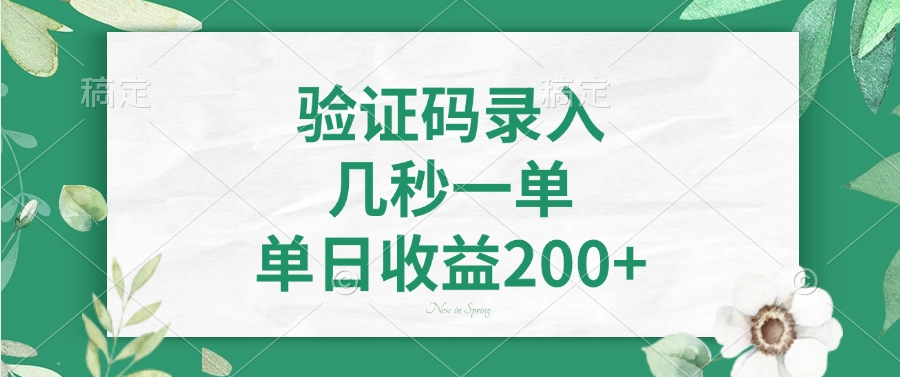 验证码录入，几秒一单，单日收益200+创富副业网-网创项目资源站-副业项目-创业项目-搞钱项目创富副业网