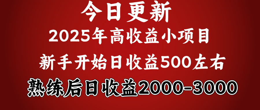 好项目一眼就能看出来，日收益1000，长久可做，2025拼的就是我比你勤奋创富副业网-网创项目资源站-副业项目-创业项目-搞钱项目创富副业网