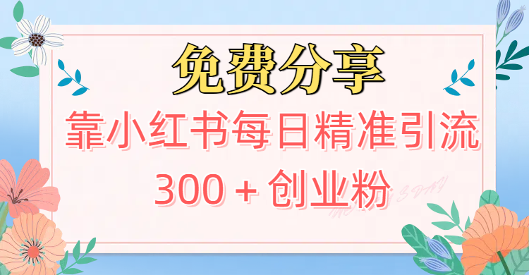 2025最新引流！靠小红书每日精准引流300＋创业粉创富副业网-网创项目资源站-副业项目-创业项目-搞钱项目创富副业网
