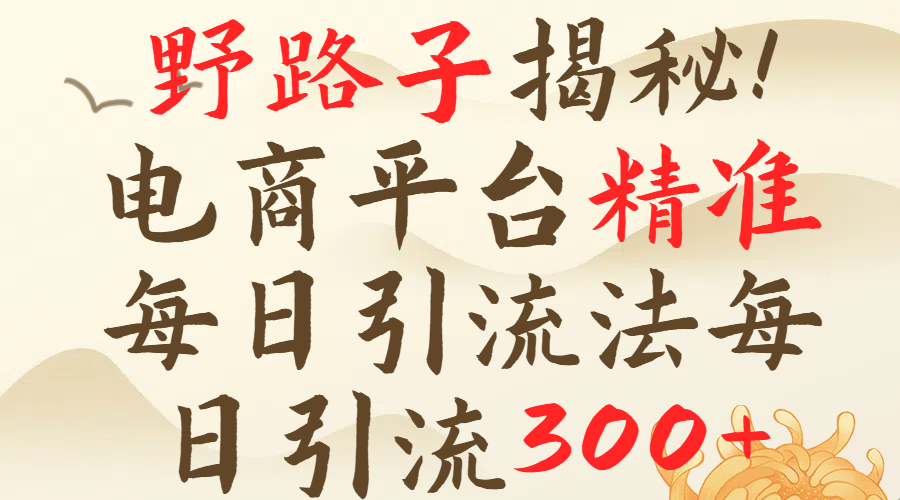 野路子揭秘！电商平台每日引流300＋独家揭秘详细流程！创富副业网-网创项目资源站-副业项目-创业项目-搞钱项目创富副业网
