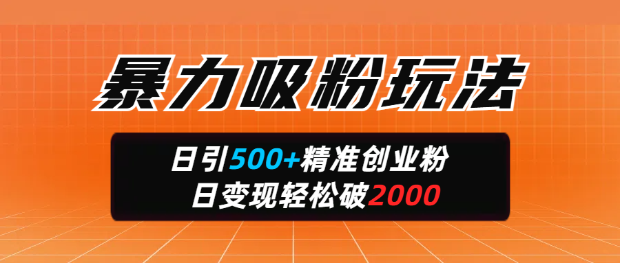 暴力吸粉玩法，日引500+精准创业粉，日变现轻松破2000创富副业网-网创项目资源站-副业项目-创业项目-搞钱项目创富副业网
