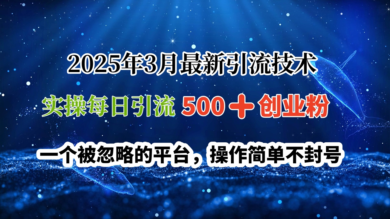 2025年3月最新引流技术，实操每日引流500➕创业粉，一个被忽略的平台，操作简单不封号创富副业网-网创项目资源站-副业项目-创业项目-搞钱项目创富副业网