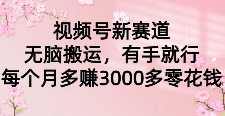 视频号新赛道，无脑搬运，有手就行，每个月多赚3000多零花钱创富副业网-网创项目资源站-副业项目-创业项目-搞钱项目创富副业网