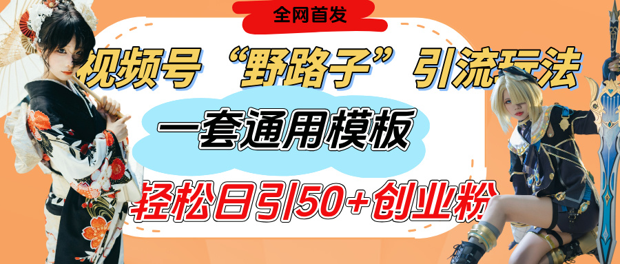视频号“野路子”玩法，评论区疯狂截流，一套模板单日单号引流50+创业粉创富副业网-网创项目资源站-副业项目-创业项目-搞钱项目创富副业网