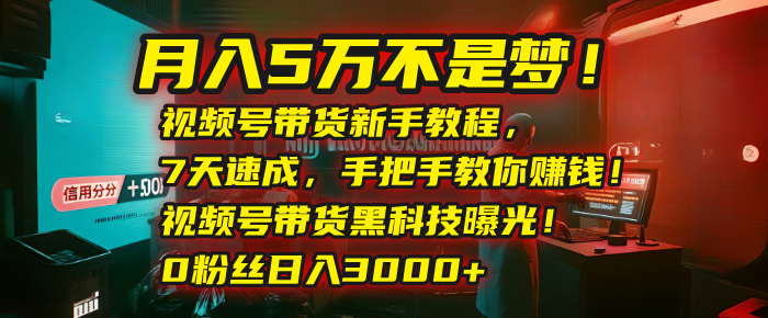 月入5万不是梦！视频号带货新手教程，7天速成，手把手教你赚钱！视频号带货黑科技曝光！0粉丝日入3000+创富副业网-网创项目资源站-副业项目-创业项目-搞钱项目创富副业网