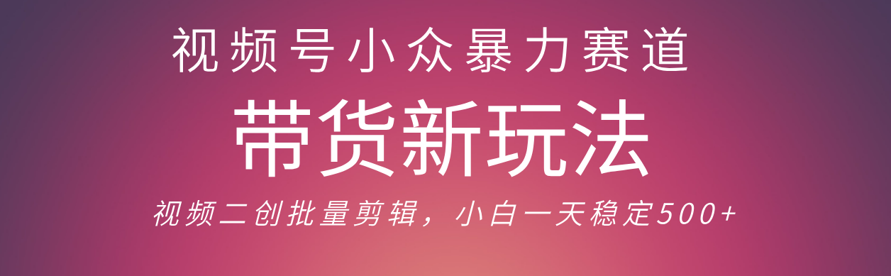 视频号小众暴力赛道，最新带货玩法 小白也能轻松日入500+ 保姆及教程创富副业网-网创项目资源站-副业项目-创业项目-搞钱项目创富副业网