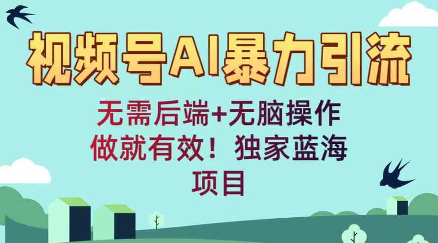 视频号AI暴力引流：无需后端+无脑操作，做就有效！独家蓝海项目创富副业网-网创项目资源站-副业项目-创业项目-搞钱项目创富副业网