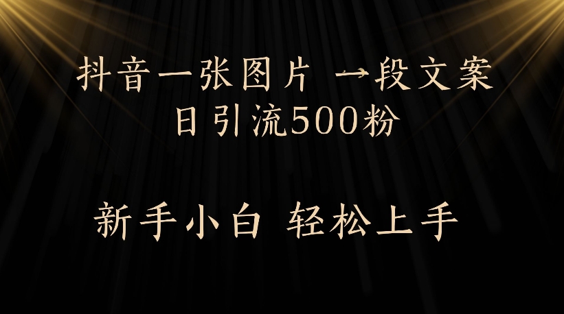 抖音一张图片，一段文案日引流500粉，新手小白 轻松上手创富副业网-网创项目资源站-副业项目-创业项目-搞钱项目创富副业网